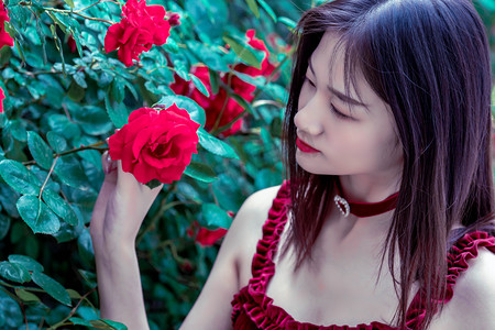 四川甘孜赴东北推介文旅 首站长春冀强化交流交往